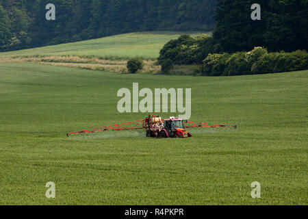 Le tracteur la pulvérisation de pesticides sur grand terrain vert grain avec les jeunes Banque D'Images