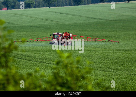 Le tracteur la pulvérisation de pesticides sur grand terrain vert grain avec les jeunes Banque D'Images