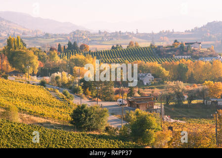 Vue du coucher de vignobles en octobre près de Penticton Banque D'Images