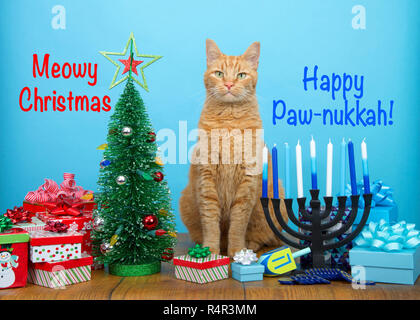 Chat tigré orange assis entre un arbre de Noël et un Hanukkah Menorah, looking at viewer. De nombreuses familles multi foi célébrer à la fois Noël et la Hanukka Banque D'Images