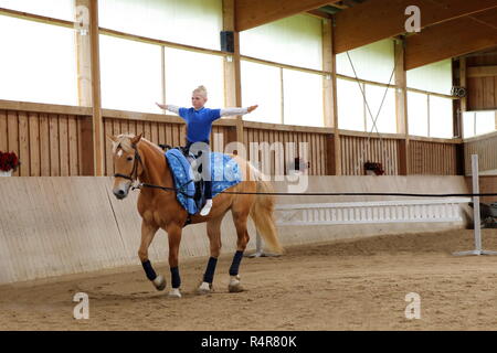 Fille est voltige sur cheval brun Banque D'Images