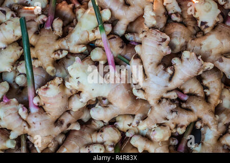 Close up top view fresh galanga herb background Banque D'Images