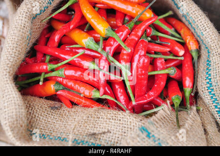 Red hot chili pepper frais en sac de jute Banque D'Images