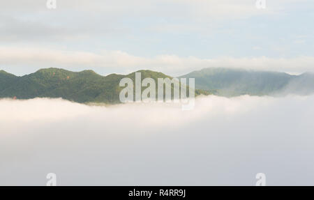 Mer de nuage sur la montagne, au matin Banque D'Images