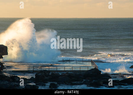 Lever du soleil à North Beach avec Curl Curl énorme houle et des vagues. Banque D'Images