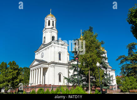 La cathédrale Alexandre Nevsky à Simferopol Banque D'Images