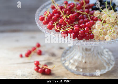 Les baies de cassis rouge et blanc dans un bol en verre sur bois rustique,close up shot with copy space, choisis focus, réduire la profondeur de champ Banque D'Images