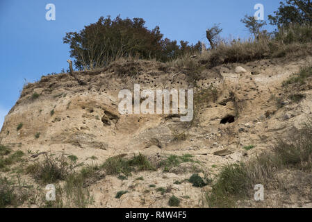 Boddenstraße 16 Reddevitzer est une péninsule longue de quatre kilomètres au sud-est de l'île de Rügen se terminant dans les falaises de sable. Banque D'Images