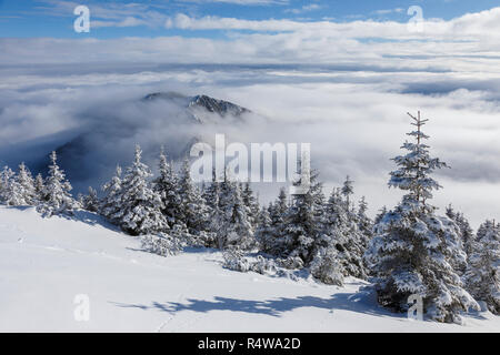 Beau paysage de montagne d'hiver dans les Carpates, la Roumanie. Au-dessus des nuages, mer de nuages. Banque D'Images