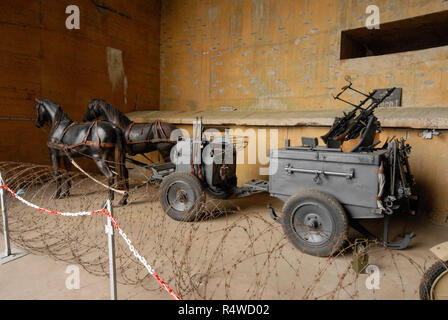 WW11 canons sur l'affichage à l'intérieur de la batterei Todt, un bunker en béton massif près de Audresselles sur le Calais/ Boulogne route côtière dans le Nord de Fran Banque D'Images