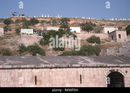 Vue sur les maisons construites à flanc de colline dans la région de Qalaat Al-Madiq, une ville habitée à côté de l'ancienne cité d'Apamée, Syrie, Juin, 1994. Au bord inférieur est le mur extérieur et la cour intérieure de l'ère ottomane entourant l'Apamée musée archéologique. () Banque D'Images