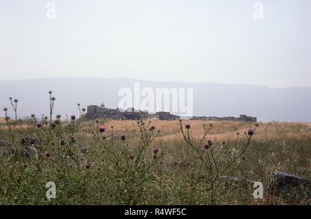 Vue panoramique de Qalaat Al-Madiq, forteresse médiévale et habité à proximité de l'ère romaine ruines d'Apamée, Syrie, Juin, 1994. Au premier plan, des fleurs sauvages indigènes fleurissent en abondance. () Banque D'Images