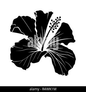 Hawaiian Hibiscus Silhouette vecteur découpées au laser. Fleur de parfum. Chenese mauve rose. Flore noir et blanc. Botanique plante isolée de pétales. Scieries de Karkade ou tisane bissap, Crimson Blossom Illustration de Vecteur