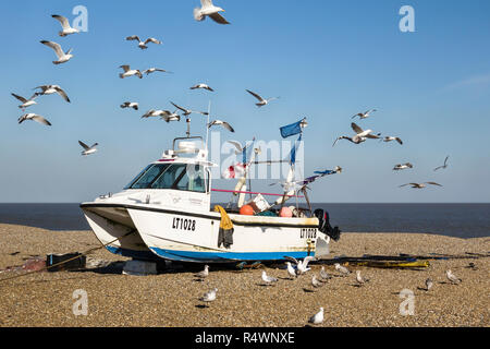 Aldeburgh, Suffolk, UK. Un bateau de pêche tiré au sec sur la plage de galets, entourée de mouettes affamées Banque D'Images