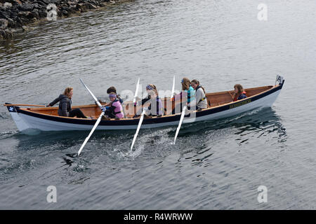 Aviron Shetland détenu à Hamnavoe Burra dans les îles Shetland au cours de l'été. Les équipes locales pour chaque district de course Banque D'Images