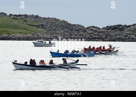 Aviron Shetland détenu à Hamnavoe Burra dans les îles Shetland au cours de l'été. Les équipes locales pour chaque district de course Banque D'Images