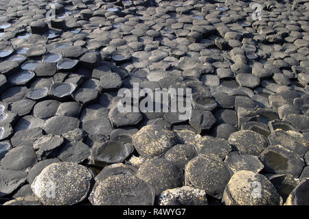 Ce n'est qu'une partie des 40 000 colonnes de basalte, enclenchement, qui composent la Chaussée des géants dans le comté d'Antrim, en Irlande du Nord. Cette magnifique structure géologique a été le résultat d'une énorme éruption volcanique, il y a de nombreuses années et est un UNESCO World Heritage site et est visité par des centaines de milliers de touristes et de visiteurs chaque année. Banque D'Images