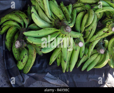 Bouquets de plantains Banque D'Images