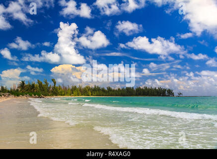 Les eaux turquoise sur une plage tropicale dans la mer des Caraïbes avec une limite des arbres de pins des Bahamas dans l'arrière-plan et de beaux nuages dans le s Banque D'Images