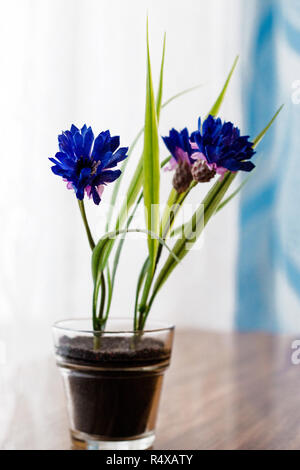 Fleurs artificielles de décoration sur table en bois de feu de fenêtre. Banque D'Images