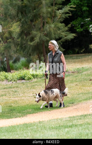 Dame de marcher un chien dans le parc Banque D'Images
