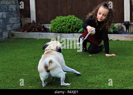 Young Caucasian fille jouant avec un chien Pug dans un jardin Banque D'Images