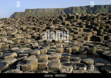 Ce n'est qu'une partie des 40 000 colonnes de basalte, enclenchement, qui composent la Chaussée des géants dans le comté d'Antrim, en Irlande du Nord. Cette magnifique structure géologique a été le résultat d'une énorme éruption volcanique, il y a de nombreuses années et est un UNESCO World Heritage site et est visité par des centaines de milliers de touristes et de visiteurs chaque année. Banque D'Images