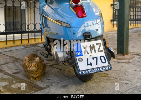 Un chat tigré est assis à côté d'un scooter Vespa moto style bleu dans le quartier Plaka d'Athènes, Grèce. Banque D'Images