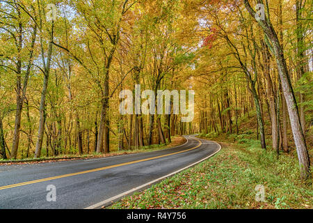 Coup horizontal montrant les belles feuilles d'automne dans les Smoky Mountains. Banque D'Images