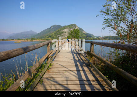 Pied en bois pont de Sebino Peat-Bog réserve naturelle, dans le sud du lac d'Iseo, province de Brescia, Italie Banque D'Images