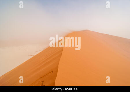 Chemin vers le haut, Big Daddy, des dunes du désert du Namib, Namibie Banque D'Images