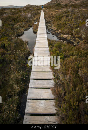 La longue piste de bois, long chemin concept, votre chemin concept Banque D'Images