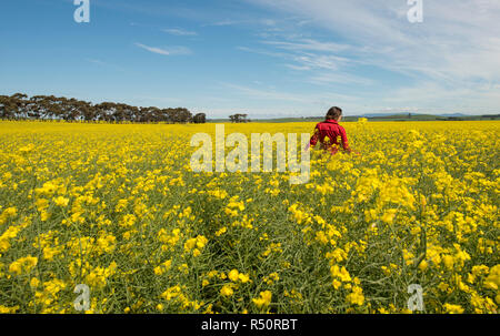 Femme au milieu d'un champ de fleurs, champ de canola en Australie Banque D'Images