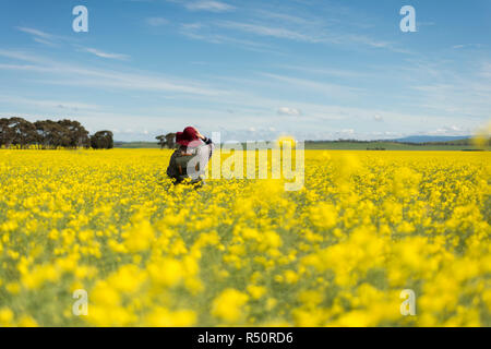 Femme au milieu d'un champ de fleurs, champ de canola en Australie Banque D'Images