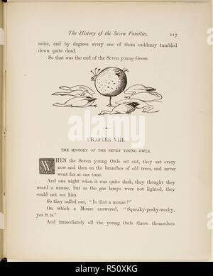 Oiseaux non identifiés, avec sept oies mortes verset et les illustrations d'un livre d'inepties par Lear. . Un livre de non-sens ... Avec toutes les images d'origine et de versets. George Routledge & Sons : Londres, Angleterre [1910.]. Source : 12812.bb.26117. Langue : Anglais. Auteur : LEAR, Edward. Banque D'Images