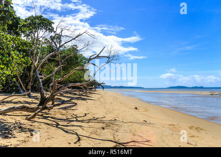 Belle journée sur la plage de Cape Tribulation, Queensland, Australie Banque D'Images