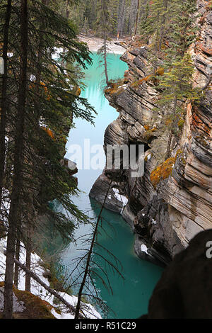 Les chutes Sunwapta, Jasper National Park sur la rivière Sunwapta, en bordure de la célèbre rivière Sunwapta. Banque D'Images