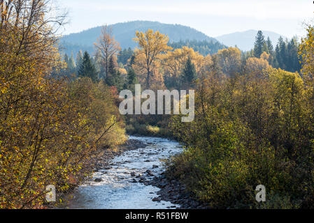 Sullivan Creek à l'automne, Colville National Forest, Washington. Banque D'Images