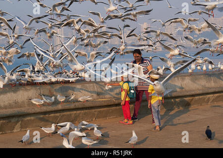 Deux jeunes garçons et leur mère Marine Drive, un boulevard de bord de mer le long de la mer d'Arabie à Mumbai, en Inde, entouré de mouettes migratrices Banque D'Images