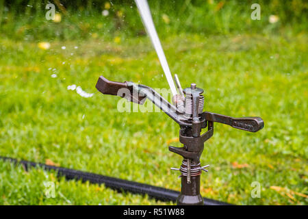 Close up de pulvériser de l'eau gicleurs sur un champ ; système d'irrigation de pelouse Banque D'Images