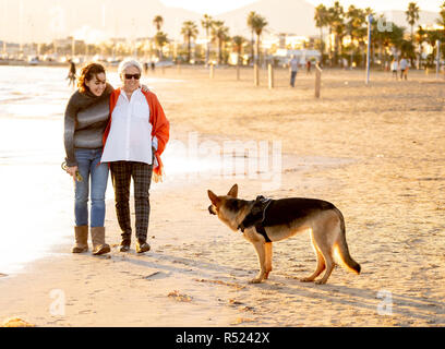 Happy mother sa fille adulte et allemand shepard chien passer du temps ensemble marcher sur la plage au coucher du soleil la lumière dans les moments heureux en famille animal anim Banque D'Images