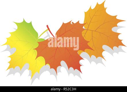 Ensemble de l'icône de feuilles d'automne. De l'ensemble de isométrique les feuilles d'automne l'icône vecteur pour la conception web isolé sur fond blanc Illustration de Vecteur