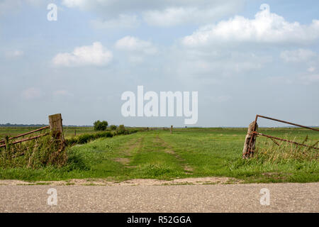 En bois rustique, ouvrir la porte en métal est envahie par les mauvaises herbes et se penchant, champ vert et un fond de ciel bleu avec des nuages. Banque D'Images