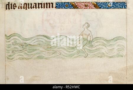 Les hommes de la natation. Psautier de la reine Mary. Angleterre (Londres) ; années 1310-1320. (Miniature) Bas-de-page scène montrant un homme nage sous l'eau, avec un autre du sur place. Image prise du Queen Mary Psautier. Publié à l'origine/produit en Angleterre (Londres) ; années 1310-1320. . Source : Royal 2 B. VII, f.170. Langue : le latin. Banque D'Images