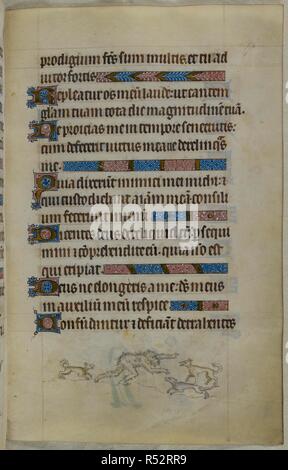 Bas-de-page scène d'un homme sauvage, couverte de poils, par appâtés trois chiens. Psautier ('Le psautier de la Reine Mary"). Angleterre (Londres/Westminster ou East Anglia ?) ; entre 1310 et 1320. Source : Royal 2 B. VII, f.173. Langue : Français de l'Amérique latine, avec les légendes des images. Banque D'Images