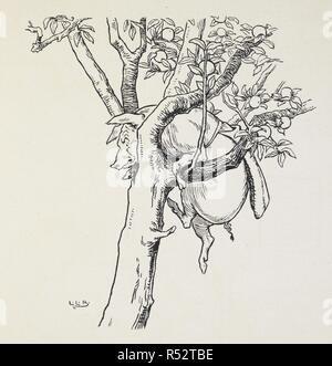 Un chat coincé dans un arbre. L'Oie d'Or Livre : en cours de l'histoire de l'Oie d'Or, les trois ours, les 3 petits cochons, Tom Pouce. Avec de nombreux dessins en couleur et noir et blanc par L. L. Brooke. F. Warne & Co. : London & New York, [1905]. Source : 12812.b.52. Author : Brooke, L. Leslie. Banque D'Images