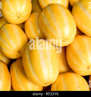 Petits melons à rayures jaune d'Orient, en Corée connu comme chamoe. Végétarien, bio, sain, fruits nourriture Banque D'Images