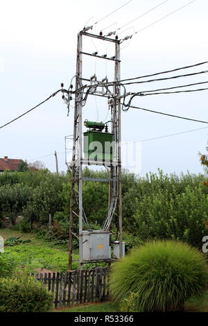 Transformateur de puissance électrique vert avec du gris métal utilite fort sur des poteaux de métal relié à plusieurs câbles électriques Banque D'Images