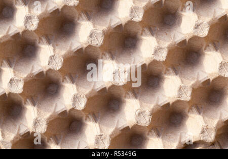 Bac à papier carton pour stocker le poulet et les autres oeufs, bac vide, vue du dessus Banque D'Images
