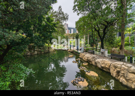 Joli petit étang à Hong Kong Park avec les tortues sur les rochers. Hong Kong, Janvier 2018 Banque D'Images